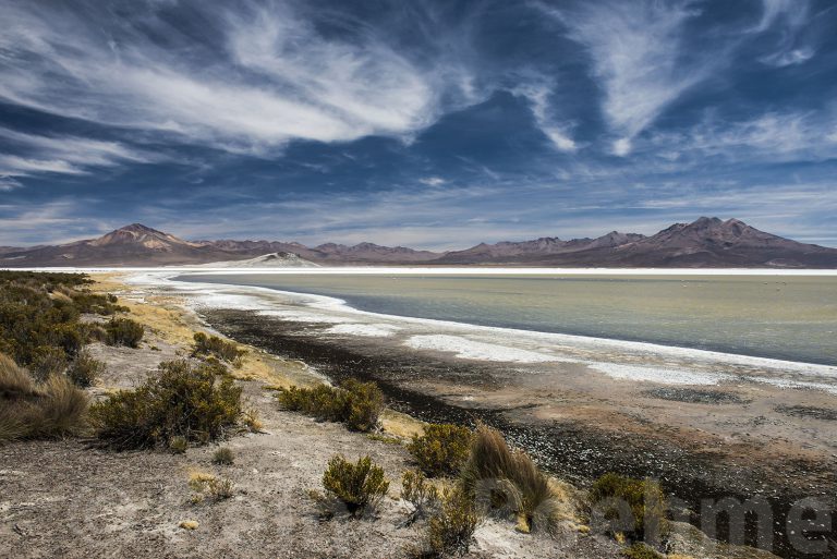 Salar de Surire I
