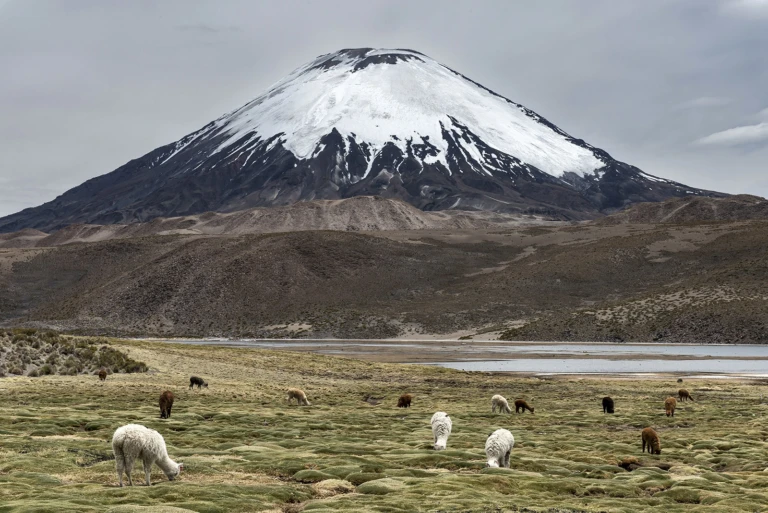 Chile