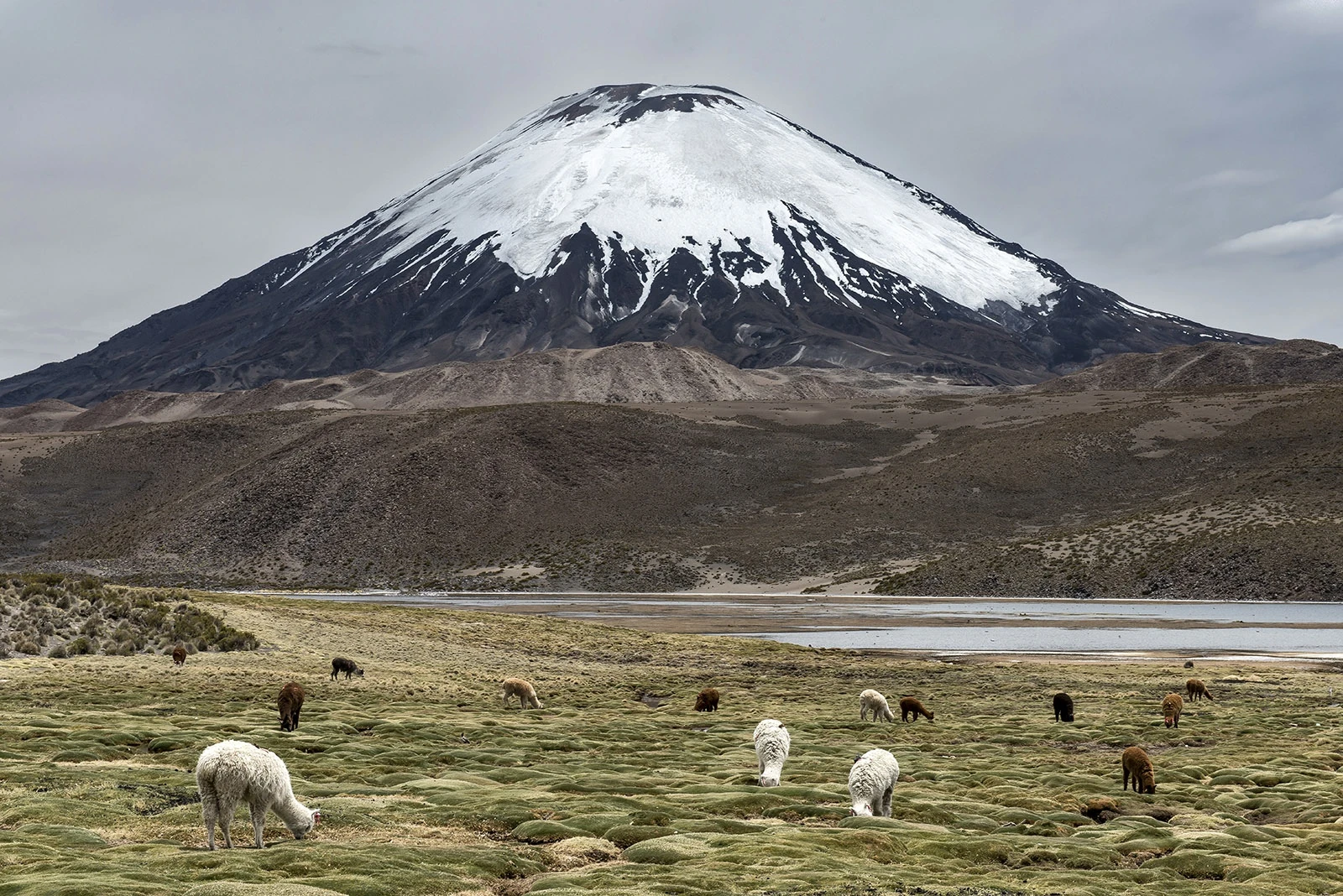 Parinacota volcano, Chile – photo by Reiner Boehme