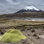 Parinacota volcano