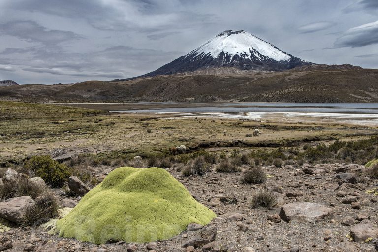 Parinacota volcano