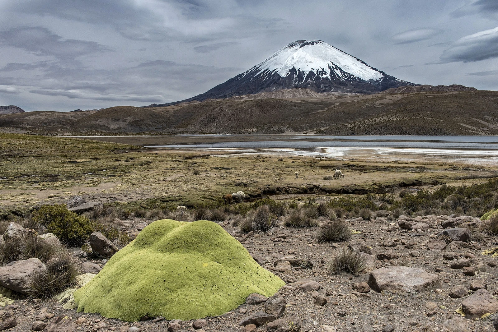 Parinacota volcano, Chile – photo by Reiner Boehme