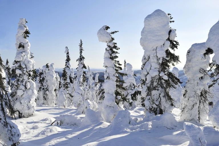 Alaska
