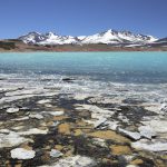 Chungara lake at 4500 m altitude