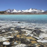 Chungara lake at 4500 m altitude