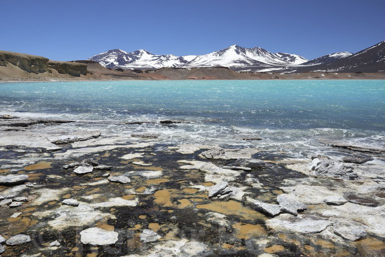 Chungara lake at 4500 m altitude