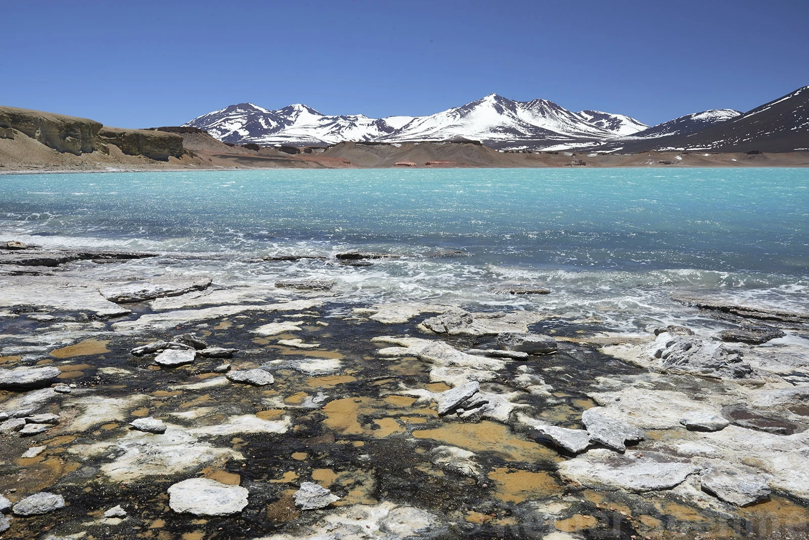 Chungara lake at 4500 m altitude, Chile – photo by Reiner Boehme