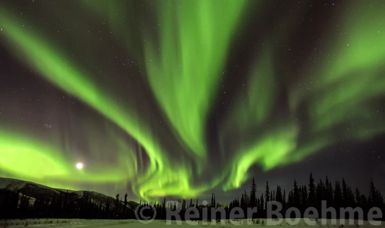 Aurora Borealis in the north