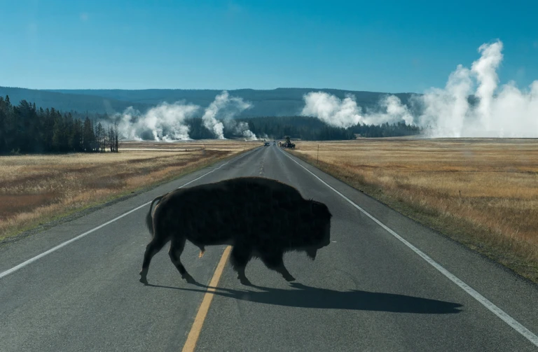 Yellowstone NP