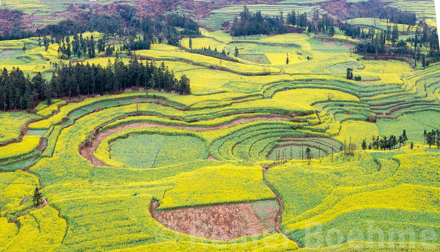 Luoping, Yuanyang – photo by Reiner Boehme