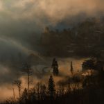 Early morning