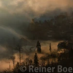 Early morning