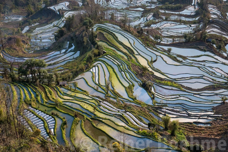Tiger mouth terraces