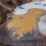 Foam