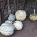 Supplies