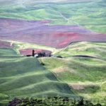 The Palouse in spring III