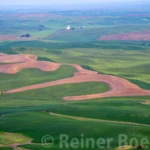 The Palouse in spring V