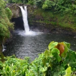 Rainbow falls in Hilo after rain