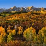 Dallas Divide