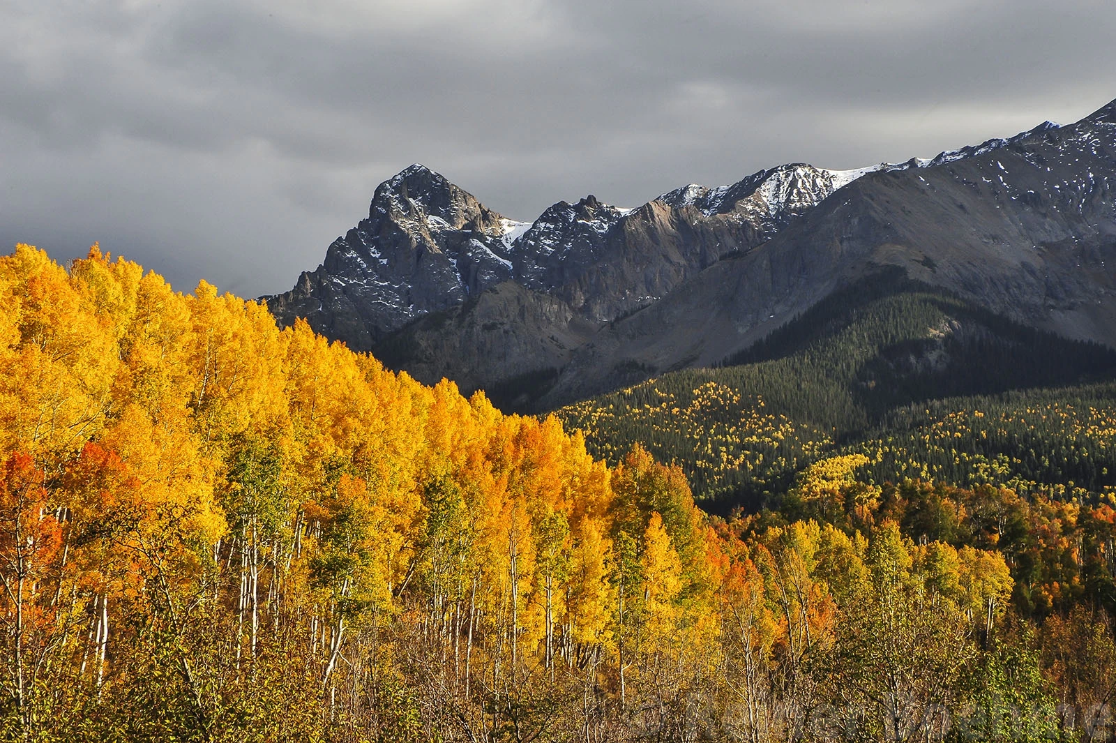Contrasts, Colorado – photo by Reiner Boehme
