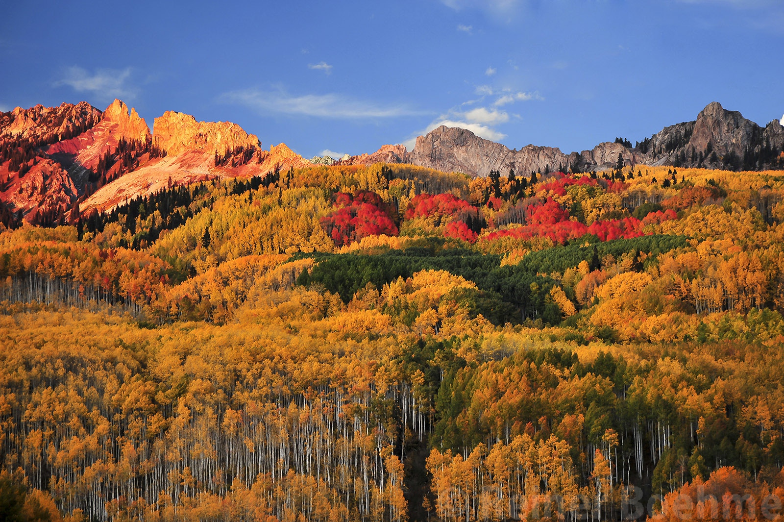Kebler Pass Reiner's Travel Photography