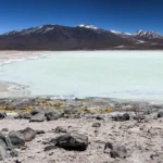 Laguna blanco
