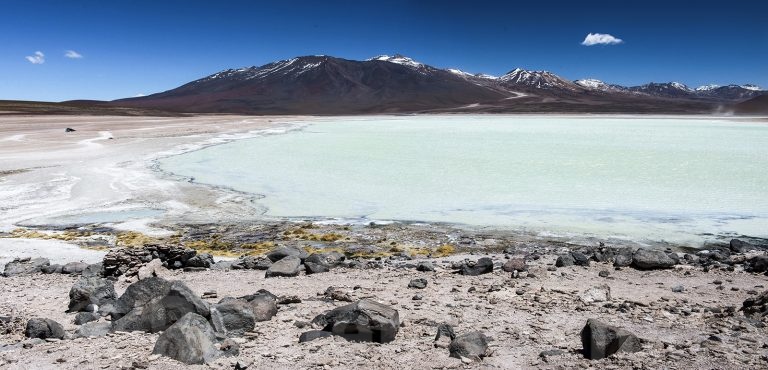 Laguna blanco