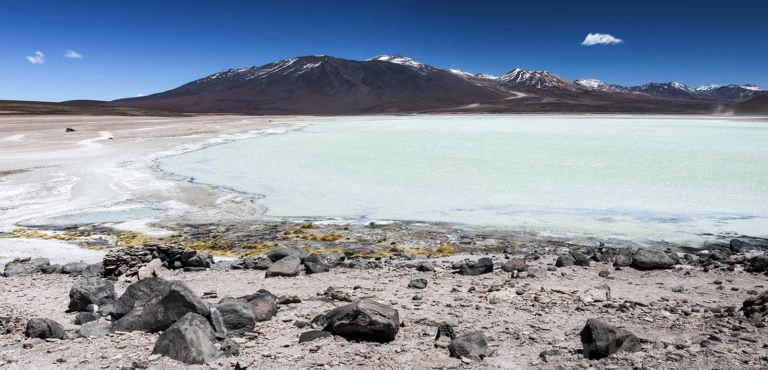 Laguna blanco