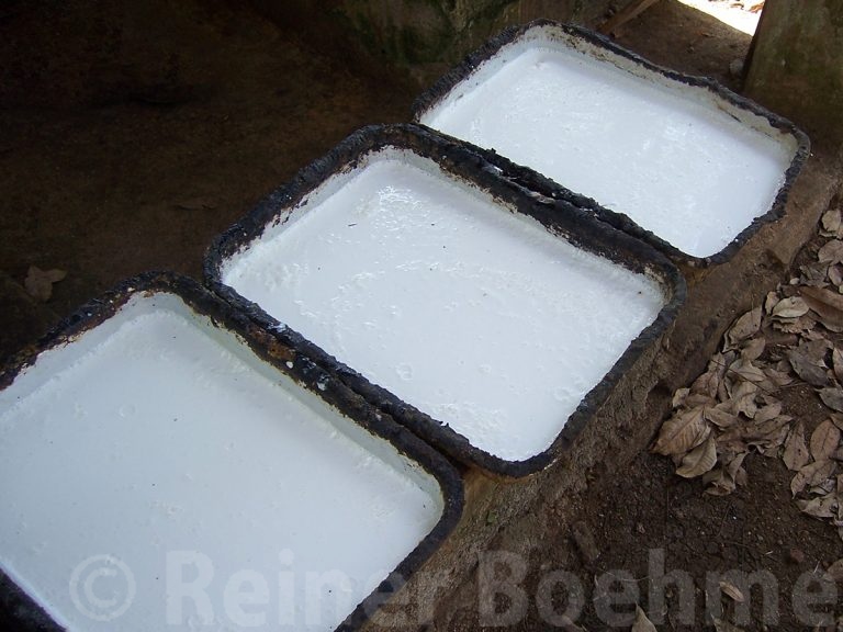 Rubber milk