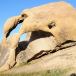 Cyclops