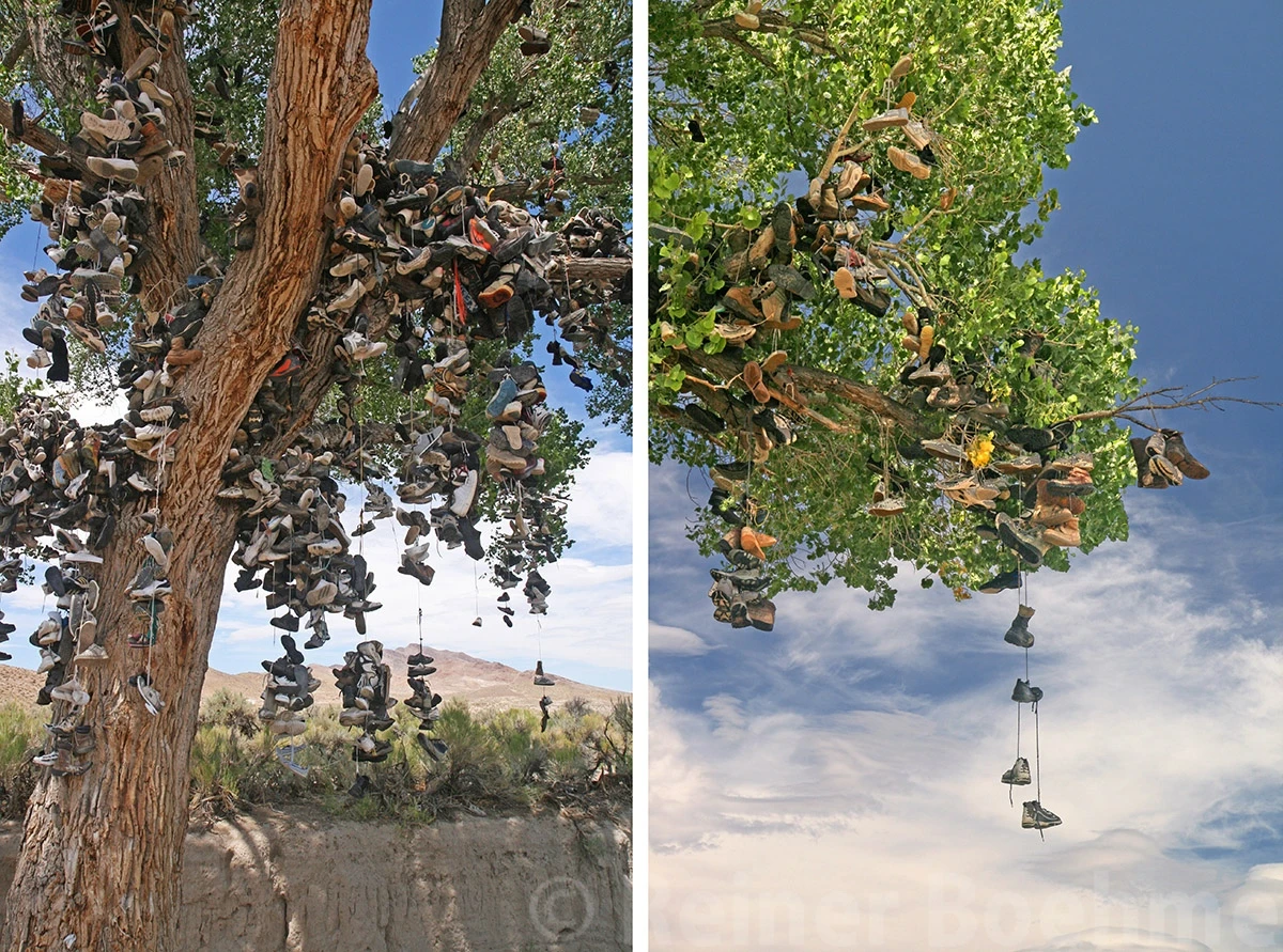 Shoetree, On the road – photo by Reiner Boehme