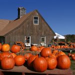 Pumpkins