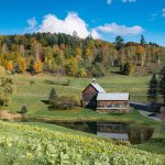Sleepy Hollow Farm
