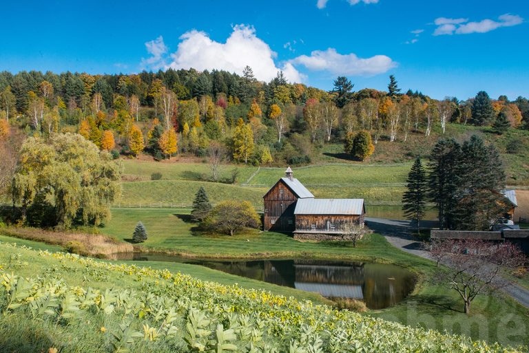 Sleepy Hollow Farm