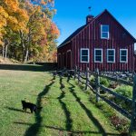 Farm of my former superior
