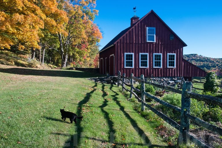 Farm of my former superior