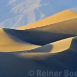 Mesquite dunes