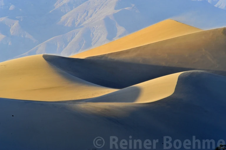 Mesquite dunes