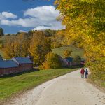 Jenne farm