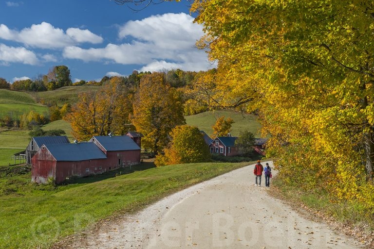 Jenne farm