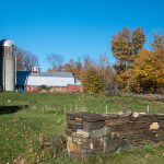 Typical farm