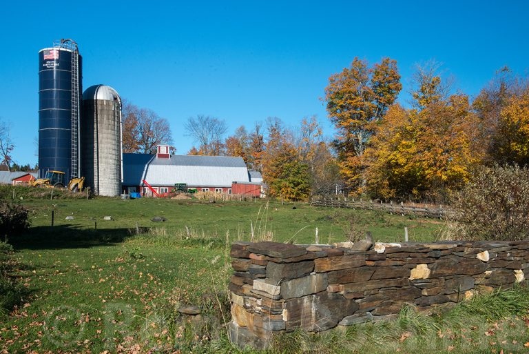 Typical farm
