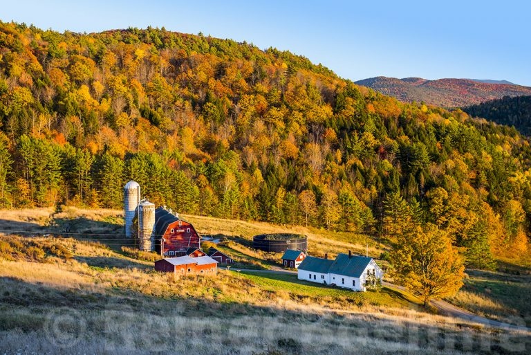 Farm
