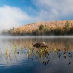 Ricker pond