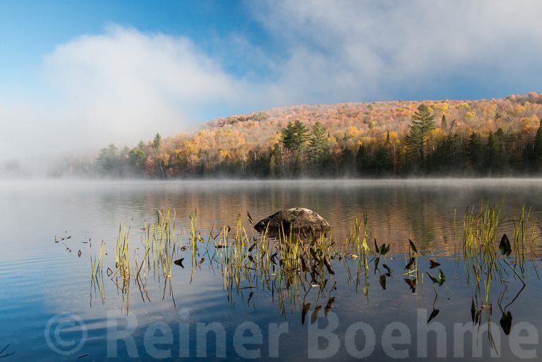 Ricker pond