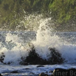 Splash
