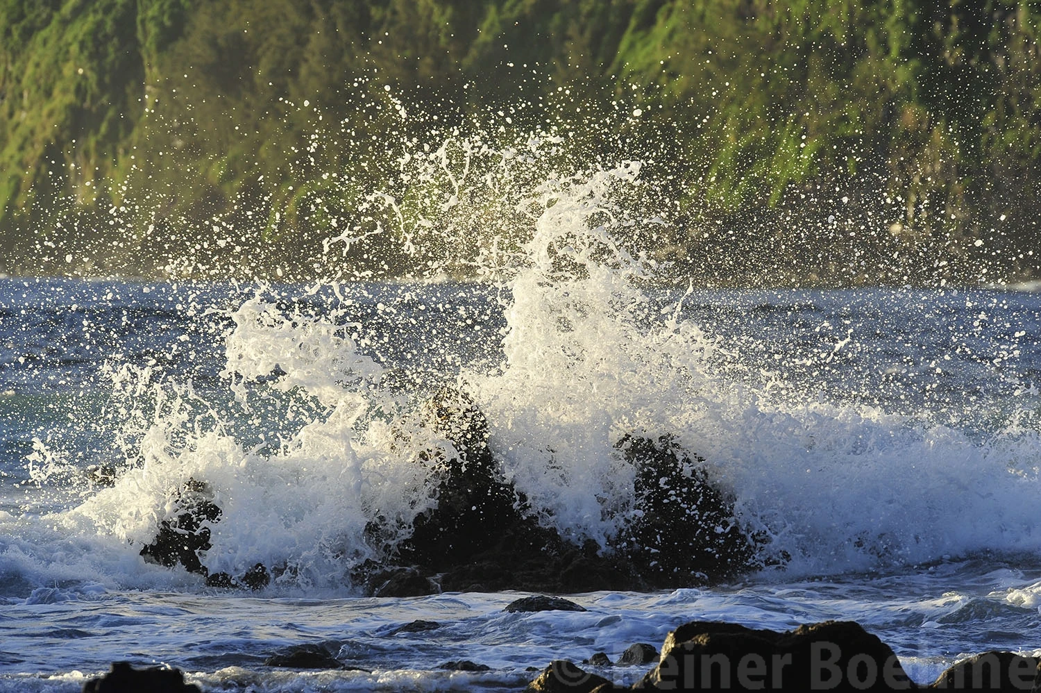 Splash, Hawaii – photo by Reiner Boehme