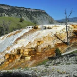 Mammoth hot springs