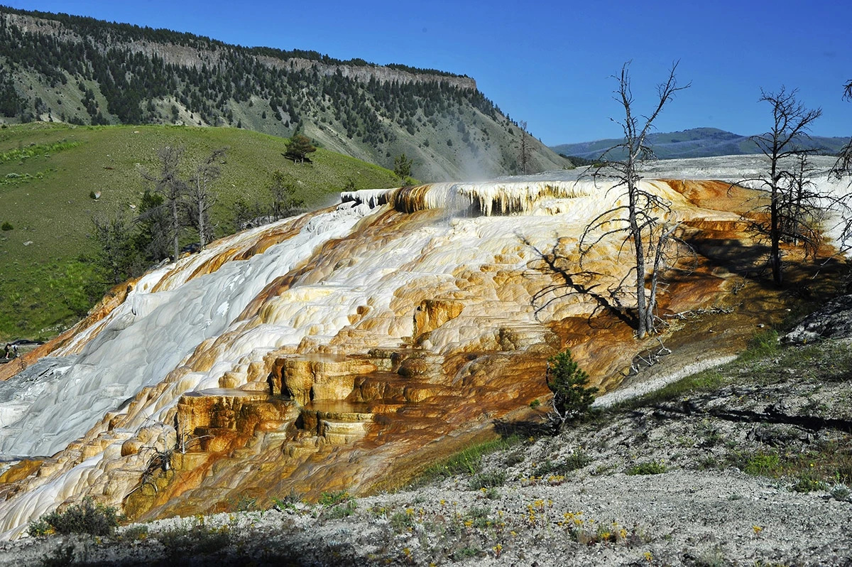 Mammoth hot springs, Yellowstone NP – photo by Reiner Boehme