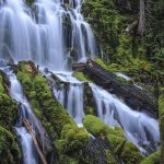 Lower proxy falls